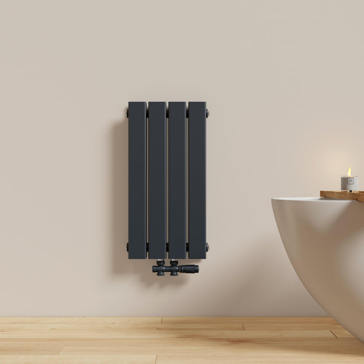 EMKE Heizkörper Klein, 600x304 mm Flachheizkörper Vertikal mit Mittelanschluss, Doppellagig Anthrazi