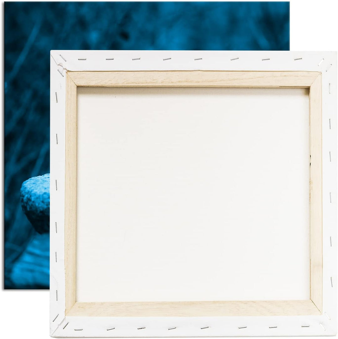 deyoli Spatz an Einer Wassertränke Format: 70x70 Effekt: Zeichnung als Leinwandbild, Motiv auf Echth
