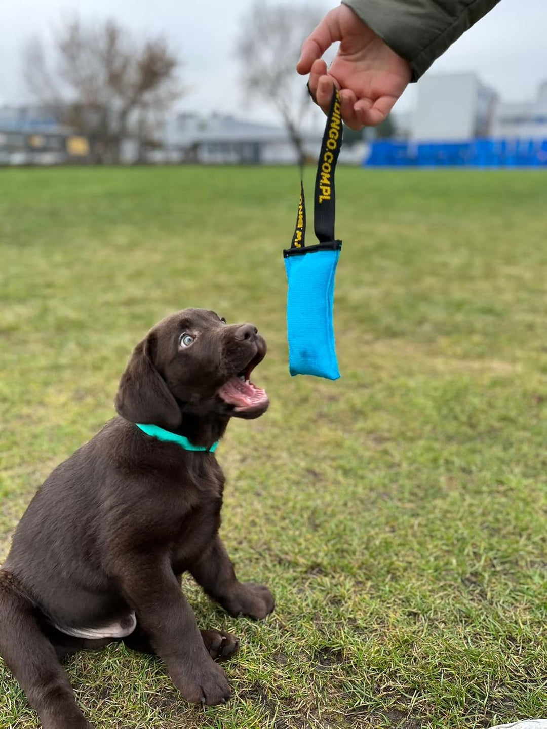 Dingo Hundespielzeug Beisswurst Agility Baumwolle mit Griff handgefertigt für Bisstraining Apportier