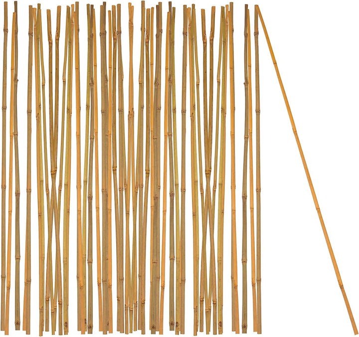 BigDean 50x Pflanzstab Bambusstab 105 cm x 8-10 mm Bambus Rankhilfe Pflanzstab Tonkinstab 100% Natur