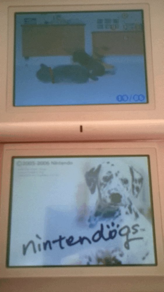 Nintendogs - Dalmatiner & Friends