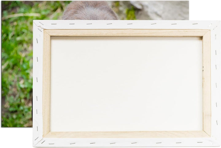 deyoli Grosser schwarzer Gorilla Format:90x60 cm als Leinwandbild, Motiv fertig gerahmt auf Echtholz