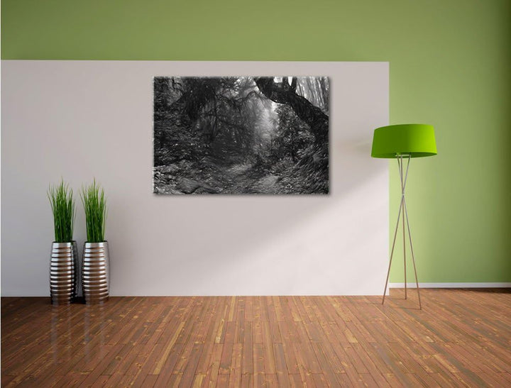 Pixxprint Mystischer Regenwald als Leinwandbild/Grösse: 100x70 cm/Wandbild/Kunstdruck/fertig bespann