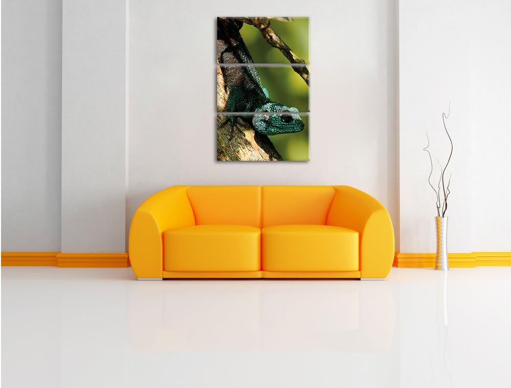 Pixxprint Agama auf Baum AST als Leinwandbild/Grösse: 3 Teilig (120x80) cm/Wandbild/Kunstdruck/ferti