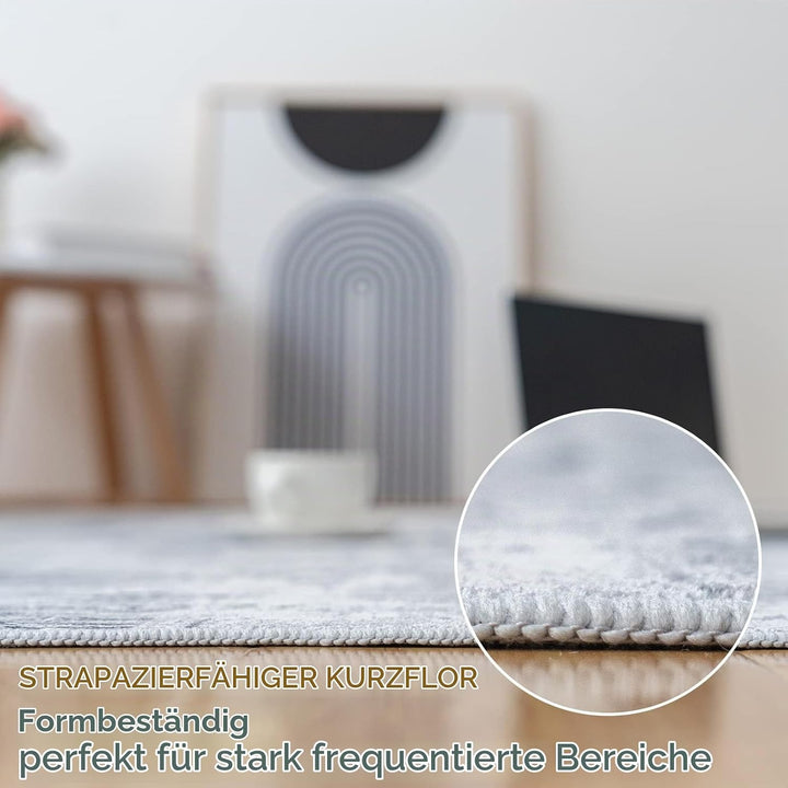 Vamcheer Teppich Wohnzimmer Kurzflor Moderner - Schlafzimmer Teppiche Flauschiger,Waschbar Boho Tepp