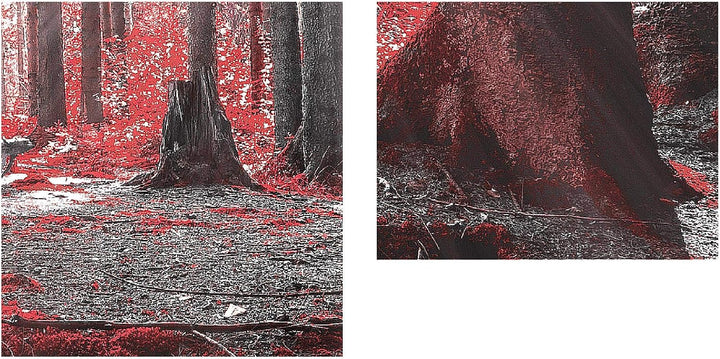 Runa Art Bild Wald Landschaft Wandbilder auf Vlies Leinwand 5 Teilig Wanddekoration Schlafzimmer Woh