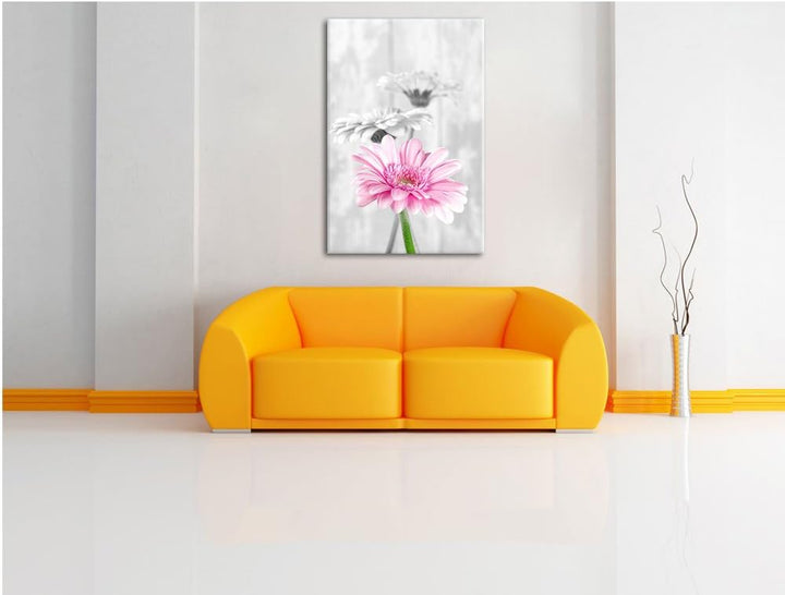 schöne Gerberas bei Tageslicht schwarz/weiss Format: 100x70 auf Leinwand, XXL riesige Bilder fertig