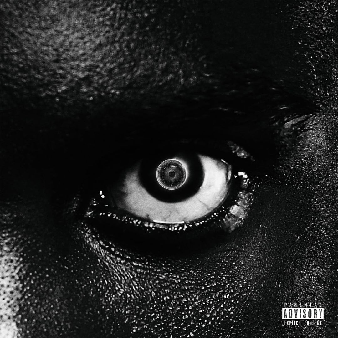 Lithopedion  explicit_lyrics, Vinyl