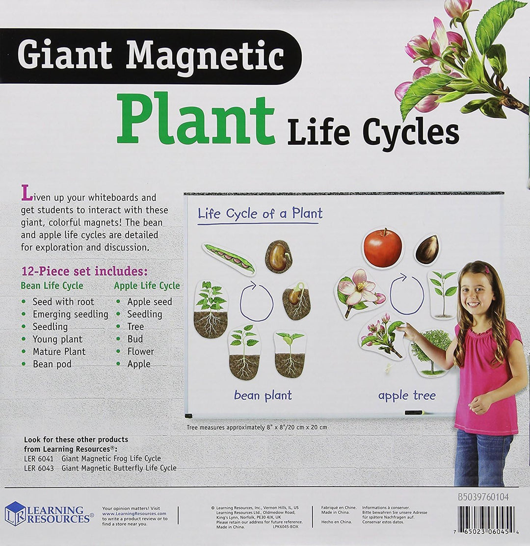 Learning Resources Riesiger magnetischer Lebenszyklus einer Pflanze
