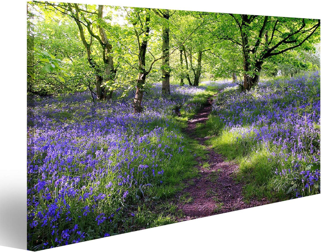 islandburner Bild auf Leinwand Blaue Glocken Blumenwiese In Schottland Bilder Wandbilder Poster Lein
