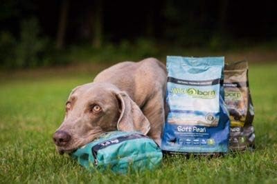 Wildborn SOFT JEWEL 4 kg getreidefreies Hundefutter mit 75% frischem Huhn &amp; Fisch | extra soft Hunde