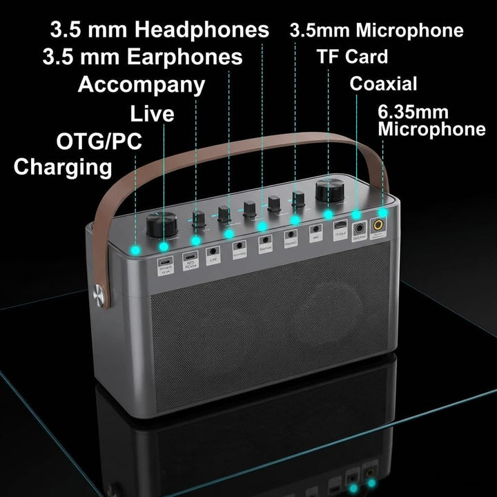 MT-VIKI Audio Mixer Bluetooth Karaoke Maschine Lautsprecher mit 2 drahtlosen Mikrofonen + Handschlau