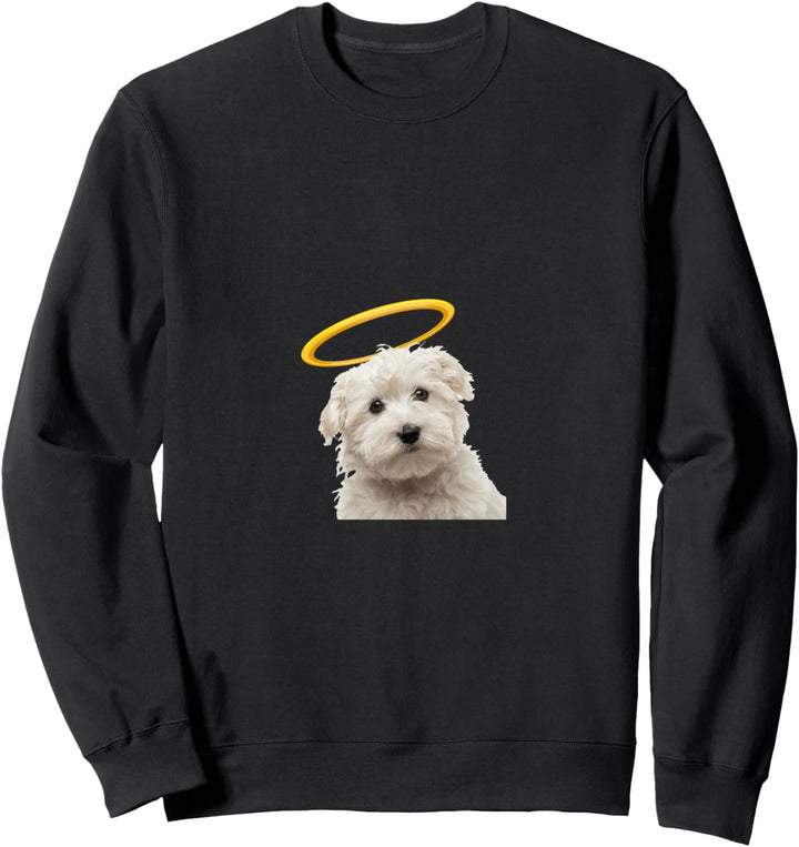 Holy Dog Maltese Sweatshirt