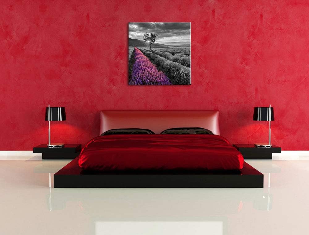 Pixxprint Lavendelfeld mit einsamen Baum schwarz/weiss, Format: 70x70 auf Leinwand, 70x70