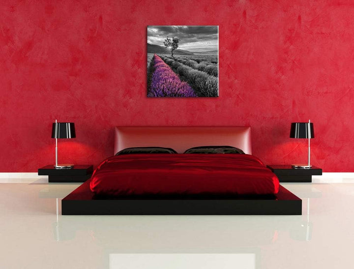 Pixxprint Lavendelfeld mit einsamen Baum schwarz/weiss, Format: 70x70 auf Leinwand, 70x70