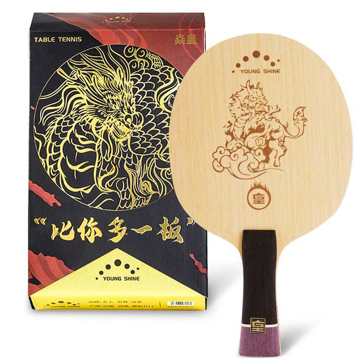 YAN-Huang Profi-Ping-Pong-Paddel, externer Arylat-Carbon-Tischtennisschläger, für fortgeschrittene u