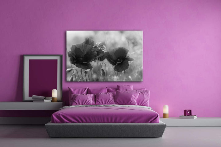 deyoli bezaubernde Mohnblumen Format: 80x60 Effekt: Schwarz&Weiss als Leinwandbild, Motiv fertig ger