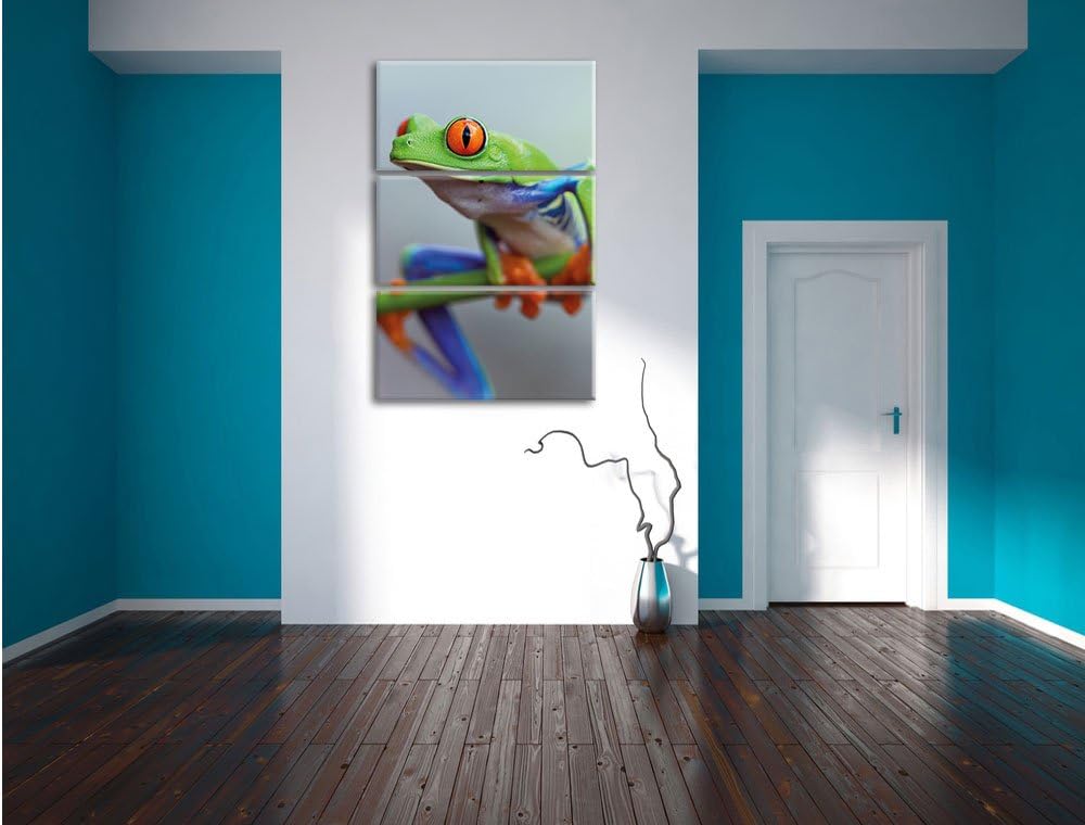 Pixxprint Grüner Frosch auf AST 3-Teiler Leinwandbild 120x80 Bild auf Leinwand