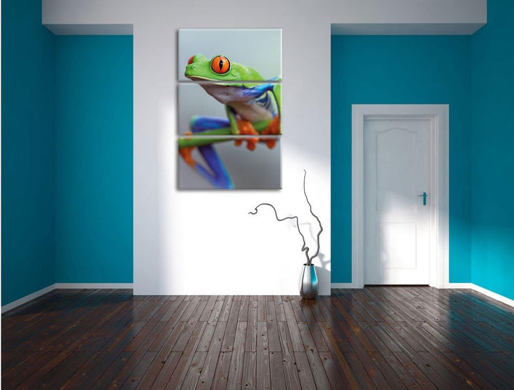 Pixxprint Grüner Frosch auf AST 3-Teiler Leinwandbild 120x80 Bild auf Leinwand