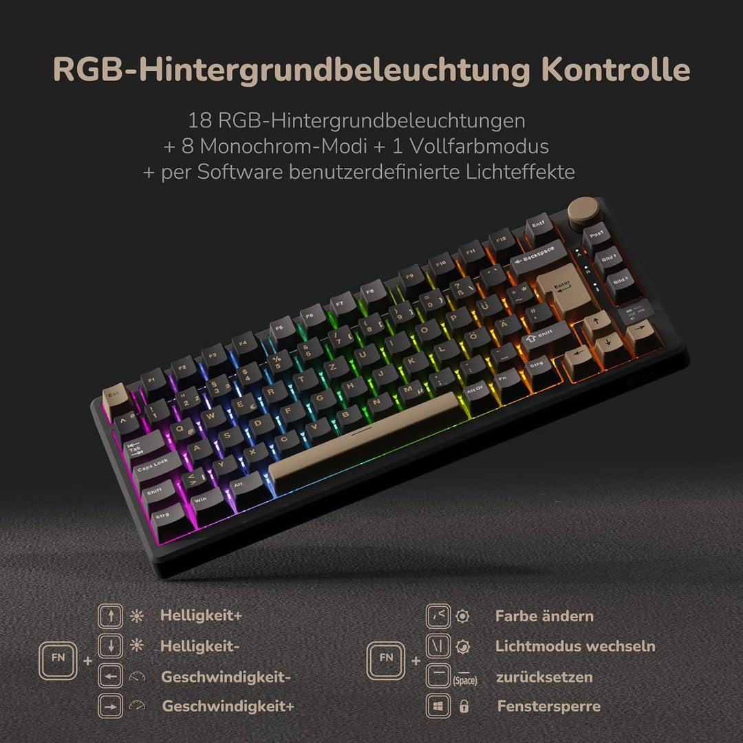 RK ROYAL KLUDGE M75 Gaming Tastatur kabellos 75% Prozent TKL Mechanische Tastatur RGB 2,4 GHz Wirele