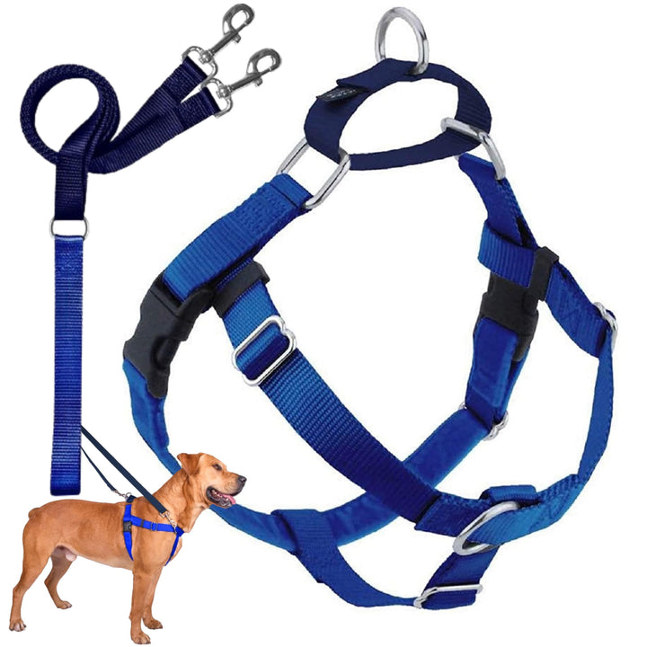 2 Hounds Design 859131002687 No-Pull Dog Harness with Leash, XL, (1 Zoll Wide), Royal Blue, Royal Bl