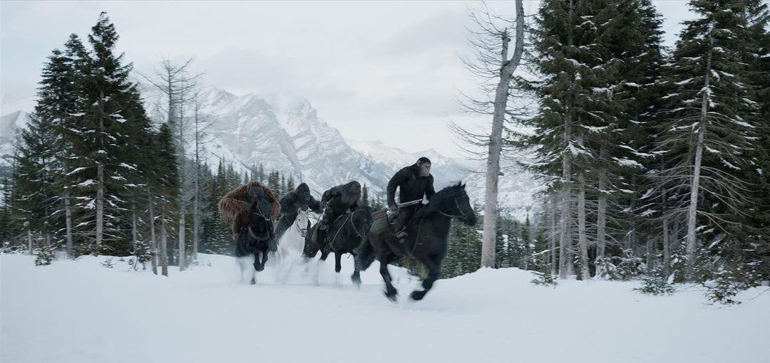 Planet der Affen: Survival [4k Ultra-HD + Blu-Ray] (War for the Planet of the Apes, Spanien Import,
