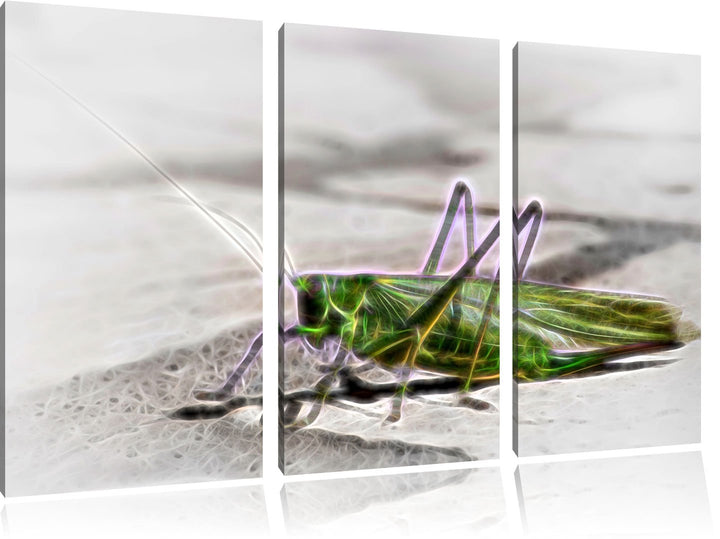 elegante Heuschrecke NewArt 3-Teiler Leinwandbild 120x80 Bild auf Leinwand, XXL riesige Bilder ferti