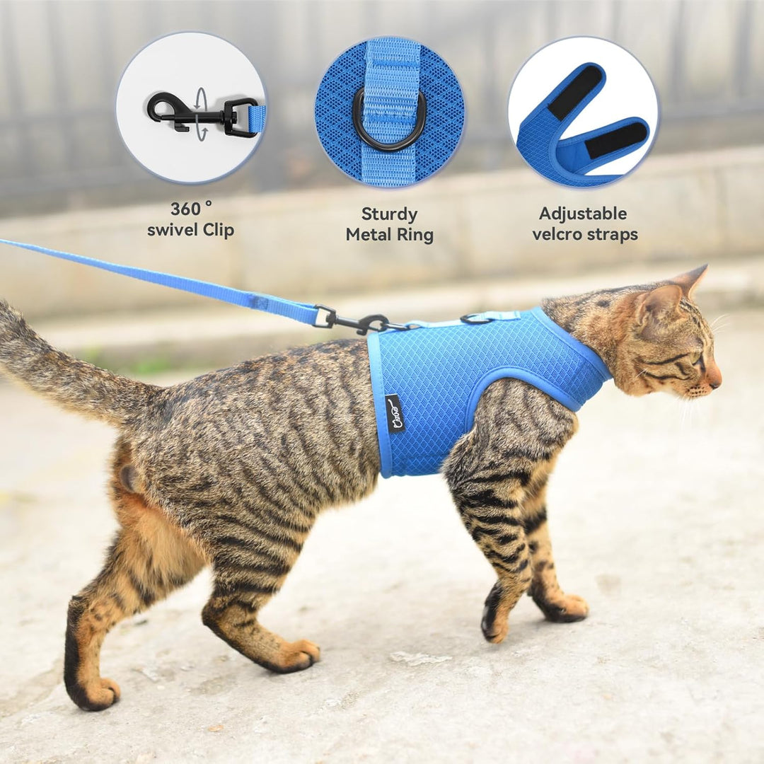 Katzengeschirr und Leine zum Spazierengehen, ausbruchsicher, atmungsaktives Netzgewebe, einfarbig, b