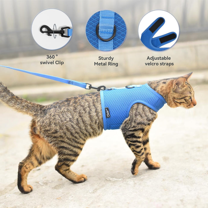 Katzengeschirr und Leine zum Spazierengehen, ausbruchsicher, atmungsaktives Netzgewebe, einfarbig, b
