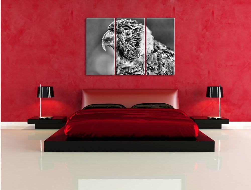 Pixxprint farbenfroher Papagei als Leinwandbild/Grösse: 3 Teilig (120x80) cm/Wandbild/Kunstdruck/fer