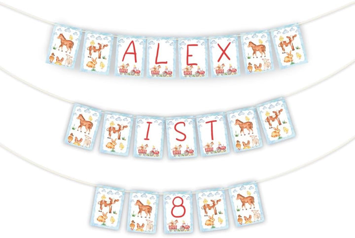 Party-Set zum Geburtstag für 12 Personen - Tischkarten, Tischunterlagen, doppelseitige Girlanden und