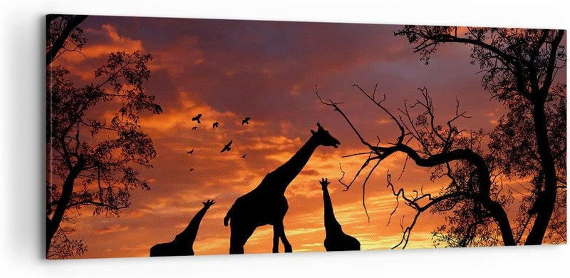 Wandbilder Dekoration Wohnzimmer Giraffe Afrika Sonne Safari Panorama Bilder auf Leinwand 120x50cm L