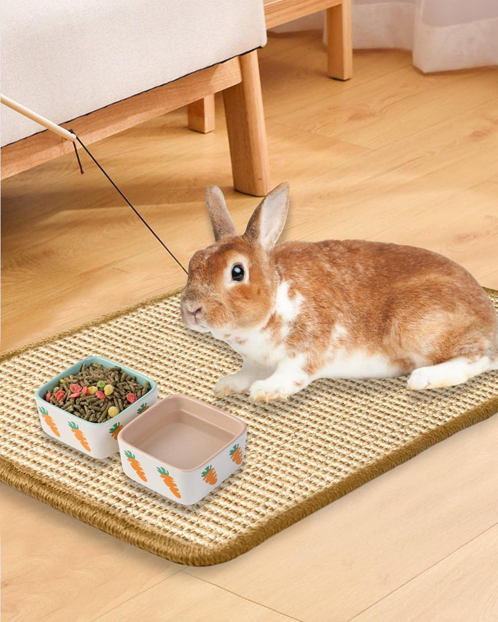 JanYoo 2 Stück Kratzmatte für Kaninchen 40x30cm, wiederverwendbar, Käfigeinlagen Meerschweinchen, Un