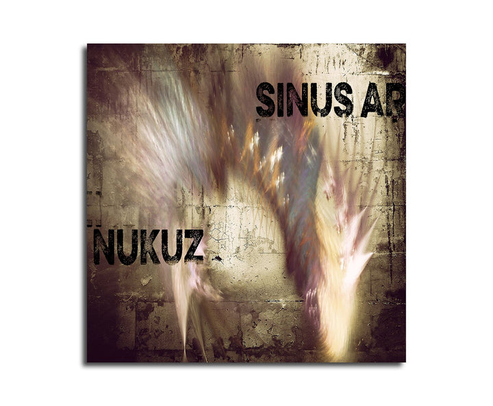Paul Sinus Art Bild auf Leinwand Abstrakt325_60x60cm Abstraktes Bild - Fremde Sehnuscht - quadratisc