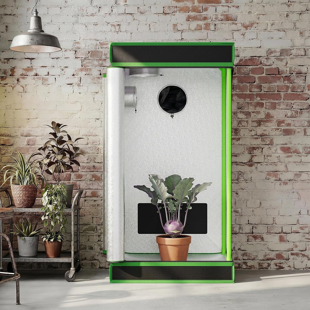 Kingpower Grow Box Grow Zelt für Pflanzen Growbox Gewächshaus Garten Anzucht Mini Gemüse Kräuter Sch