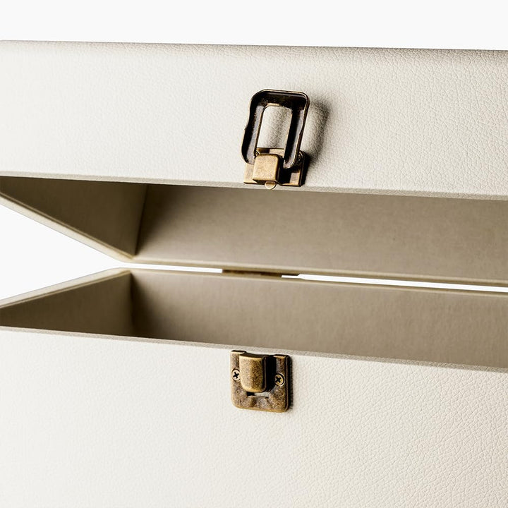 Audizio RC32 - Robuster Koffer für Schallplatten Aufbewahrung - Design Vinyl Holder - Plattenkoffer