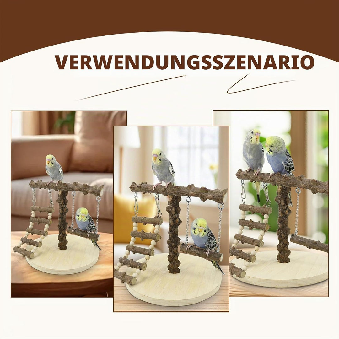 Wellensittich Spielplatz, Vogel Spielplatz Holz mit Spielzeug Leiter Erklimmen Schaukel, Vogel Sitzs