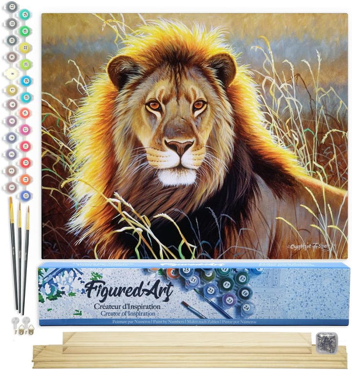 Figured'Art Malen Nach Zahlen Erwachsene Mit Rahmen Löwe in der Savanne - Paint by Numbers Basteln D