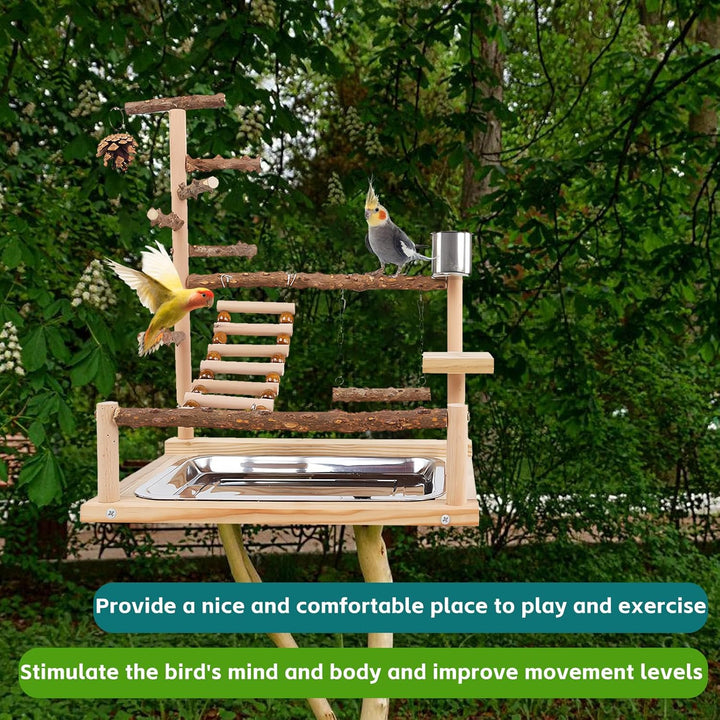 Vogelspielzeug, Papageienspielzeug, Wellensittich Spielzeug, Spielplatz Mit Feeder-Cup Spielzeug Lei
