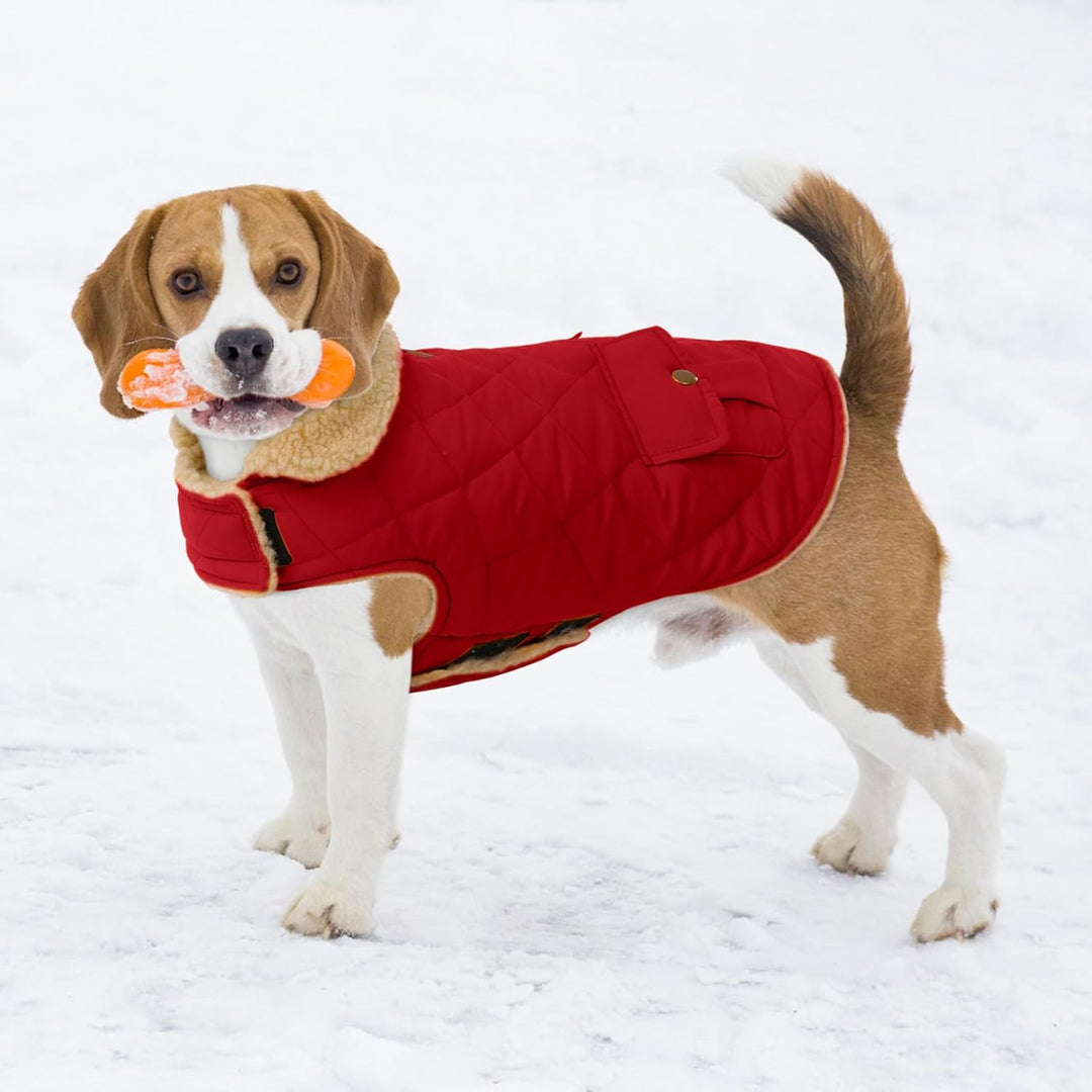 CITÉTOILE Wintermantel Hundemantel, Warme Winterjacken mit Fleece für Hunde,Hundejacke Hundekleidung