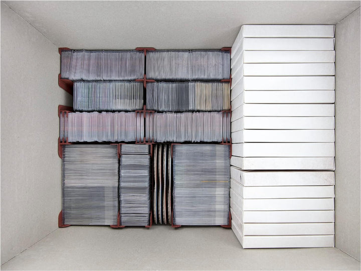 Feldherr Organizer Insert kompatibel mit Frosthaven - Grundspielbox