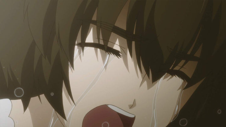 Steins;Gate 0 Vol. 4 [2 DVDs], DVD