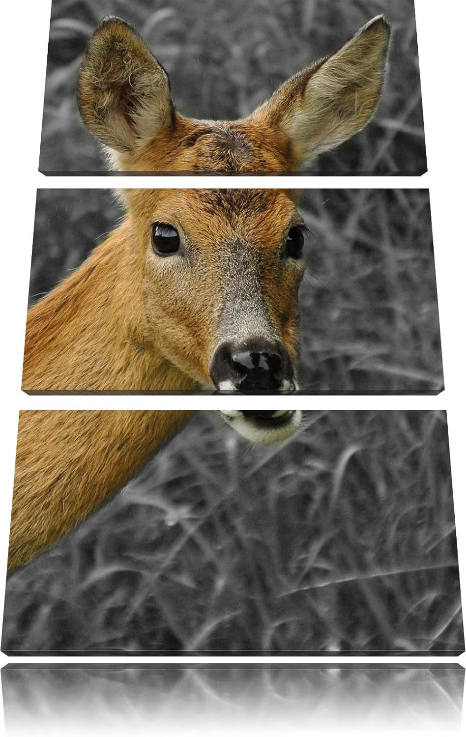 Pixxprint stolzes REH beim Fressen als Leinwandbild/Grösse: 3 Teilig (120x80) cm/Wandbild/Kunstdruck