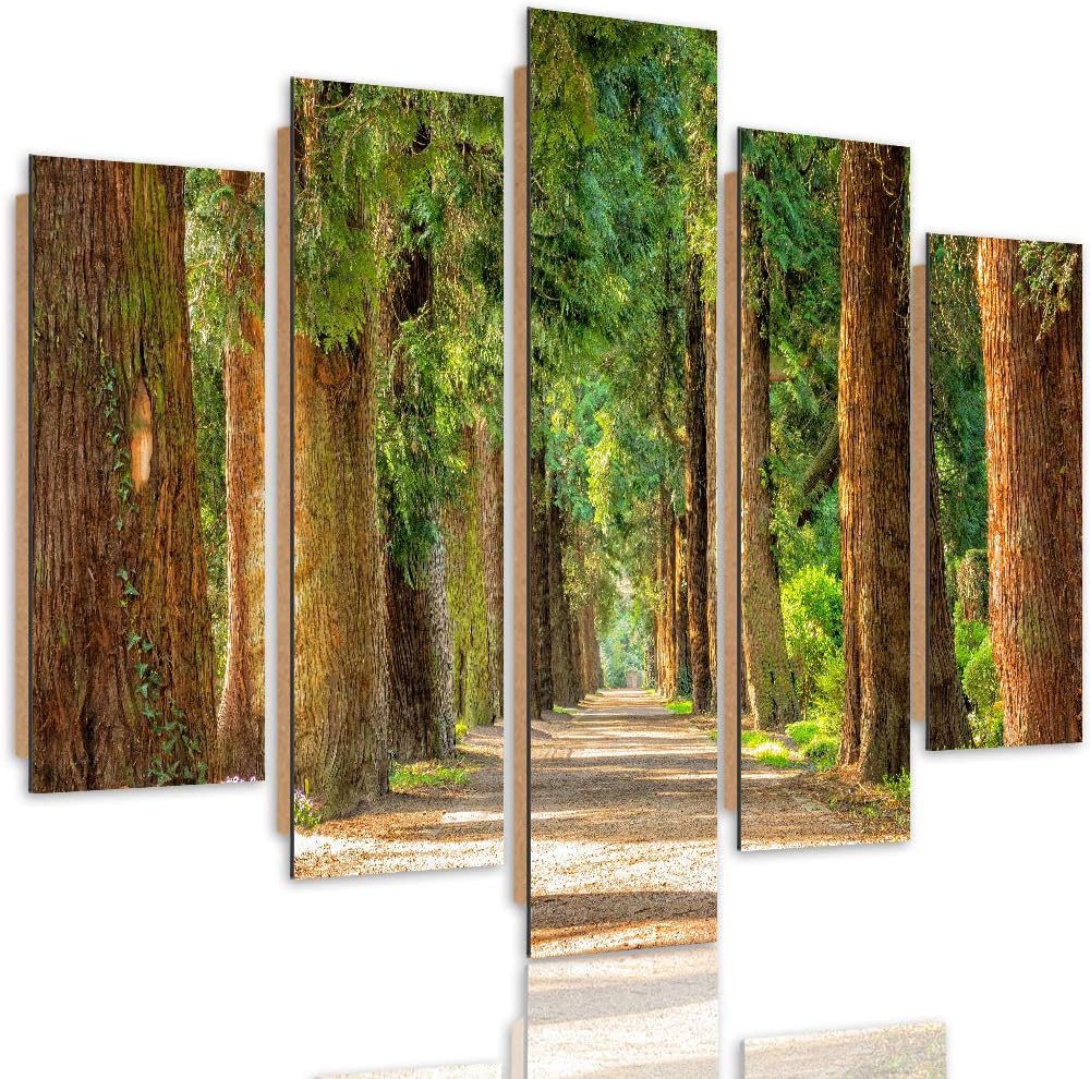 Feeby Bilder Modern Landschaft 5 Teilig Design Art Natur Allee Wald bunt 100x70 cm Deco panel 100x70