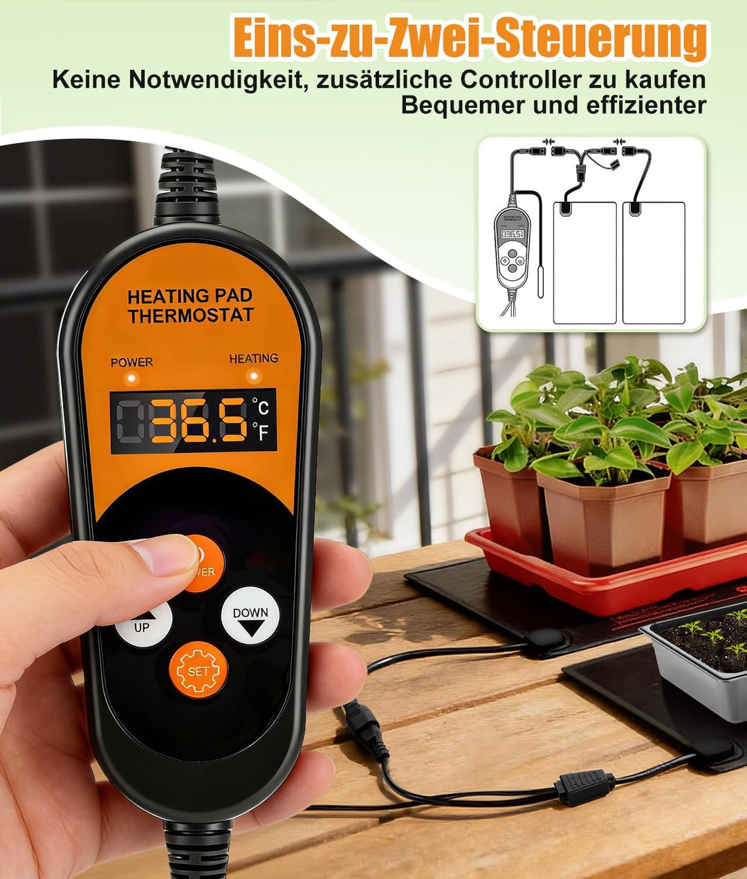 WADEO Heizmatte Pflanzen mit Thermostat 50W, 2 Matten mit 1 Controller, Sämlinge Heizmatte mit autom