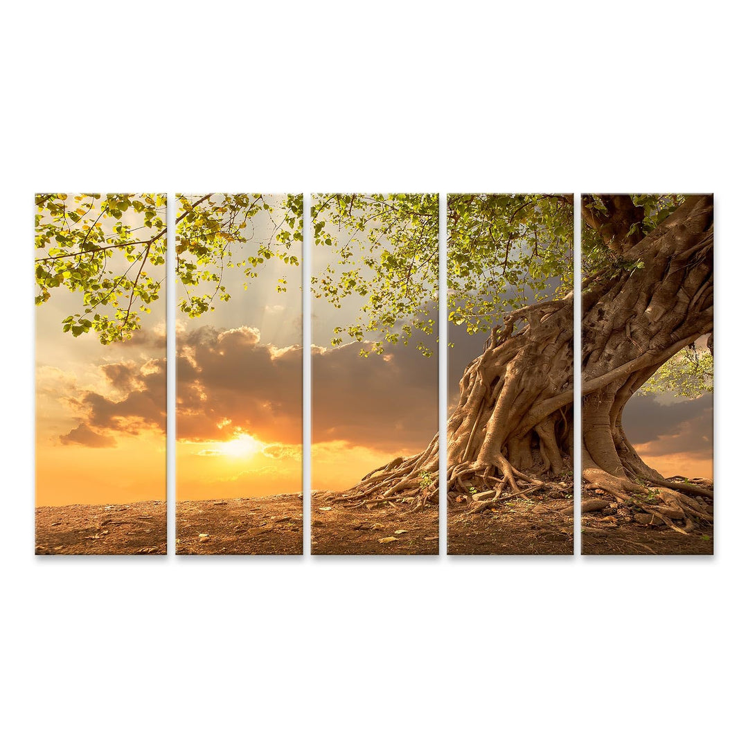 islandburner Leinwandbild Atemberaubender alter Baum vor einem malerischen Sonnenuntergang - Leinwan