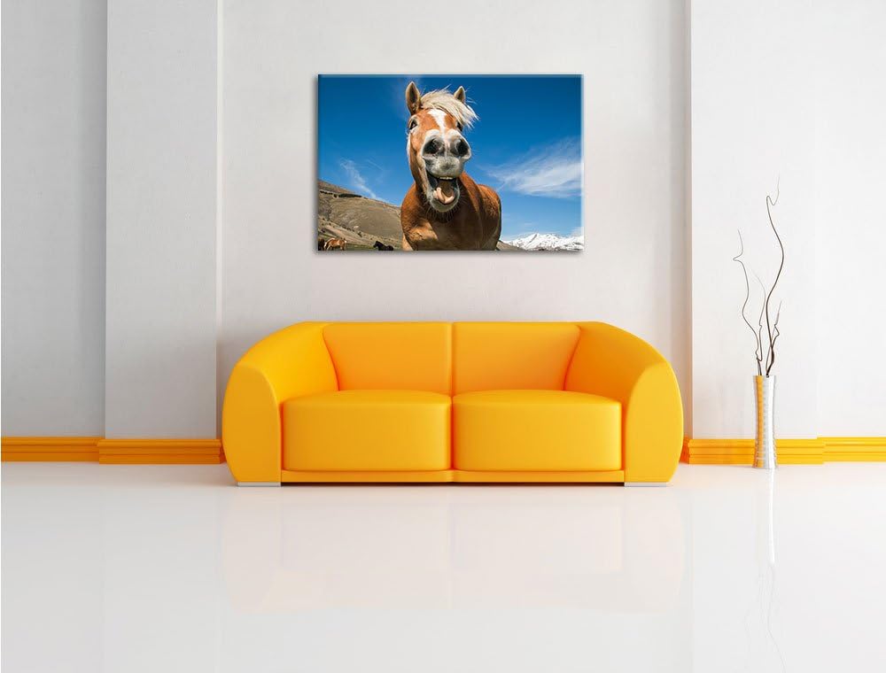 Pixxprint Lustiges Pferd in der Natur als Leinwandbild/Grösse: 100x70 cm/Wandbild/Kunstdruck/fertig
