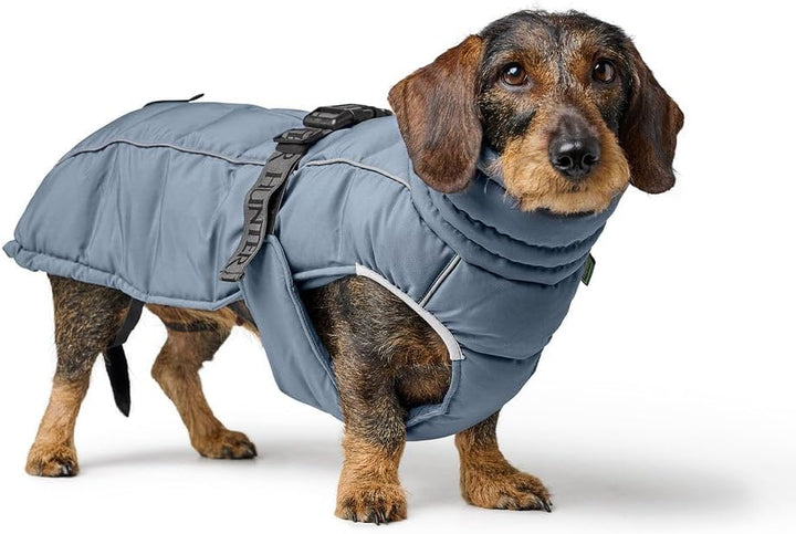 HUNTER Hundemantel Paxson Dachshund, Farbe: taubenblau, wasserabweisend & warm gefüttert, idealer We