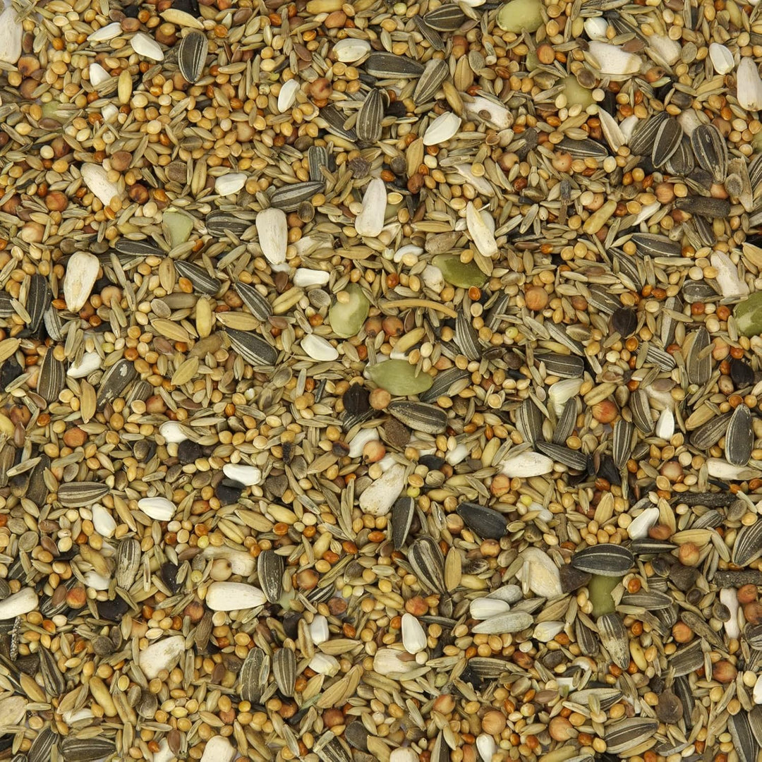 Grosssittich-Fit, Grosssittich-Futter mit Grassamen 25 kg, 25 kg