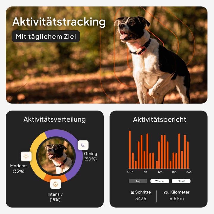 Weenect XS für Hunde - Mini GPS-Tracker für Hunde | GPS-Tracking in Echtzeit | Kleinstes Modell auf